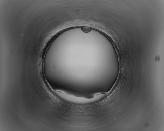 X0000098081507200804251501