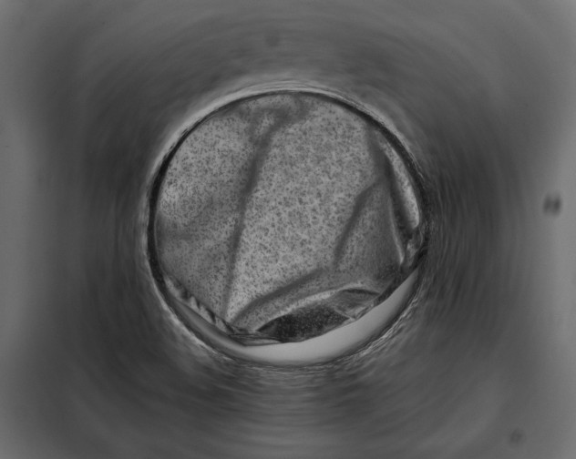 X0000098081508200804251501