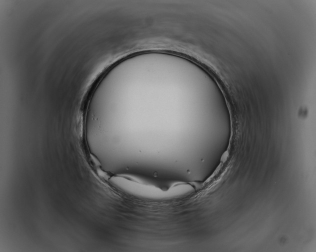 X0000098081509200804251501