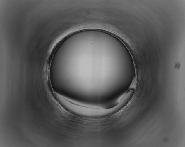 X0000098081510200804251501