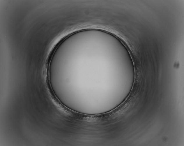 X0000098081511200804251501