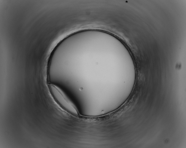 X0000098081512200804251501