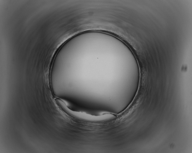 X0000098081513200804251501