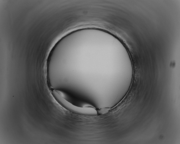 X0000098081516200804251501