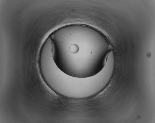 X0000098081518200804251501