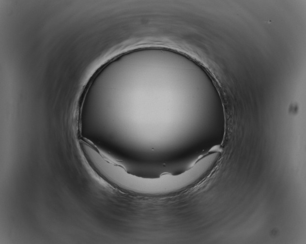 X0000098081519200804251501