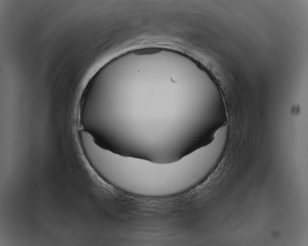 X0000098081520200804251501