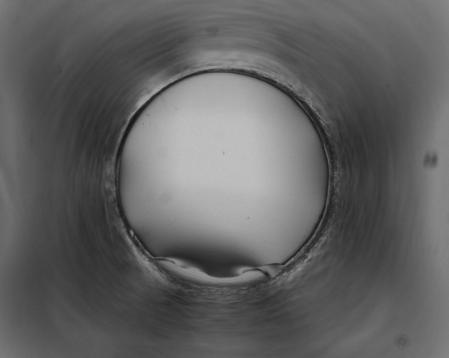 X0000098081521200804251501