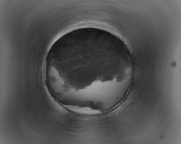 X0000098081522200804251501