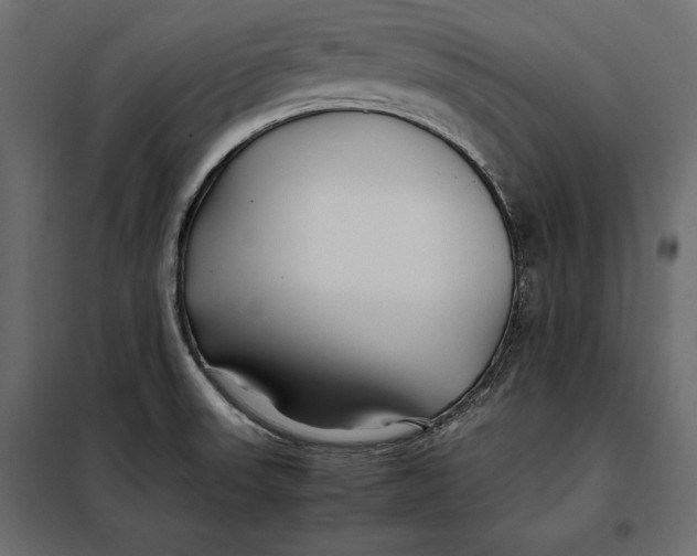 X0000098081523200804251501