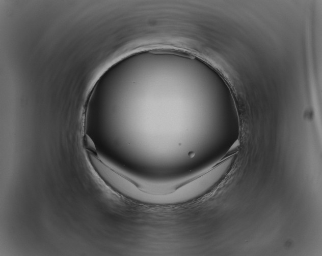 X0000098081524200804251501