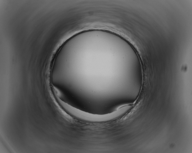 X0000098081525200804251501