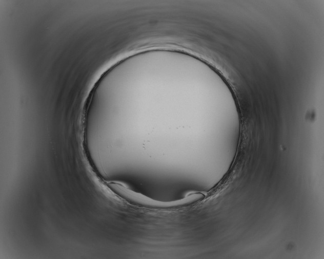 X0000098081526200804251502