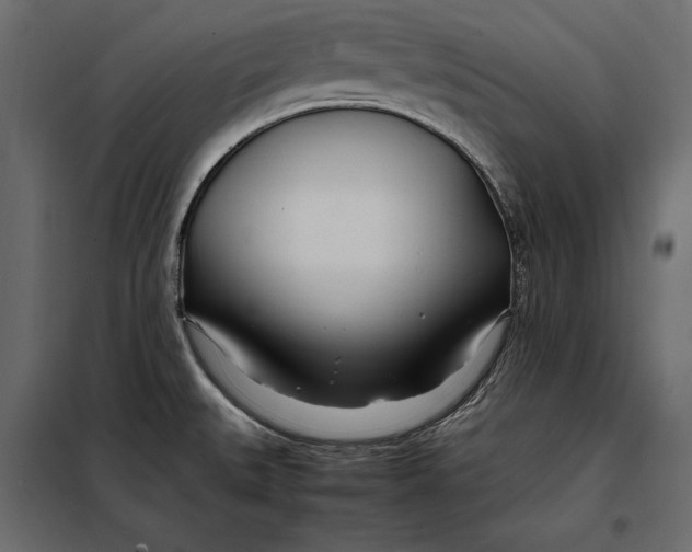 X0000098081527200804251502