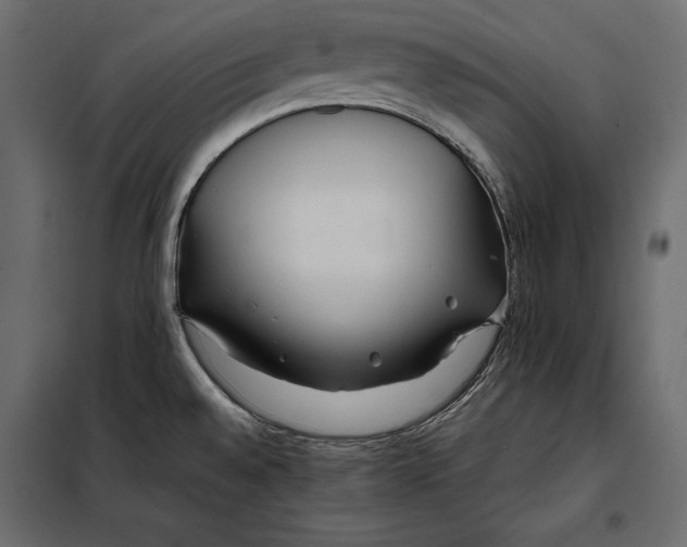 X0000098081528200804251502