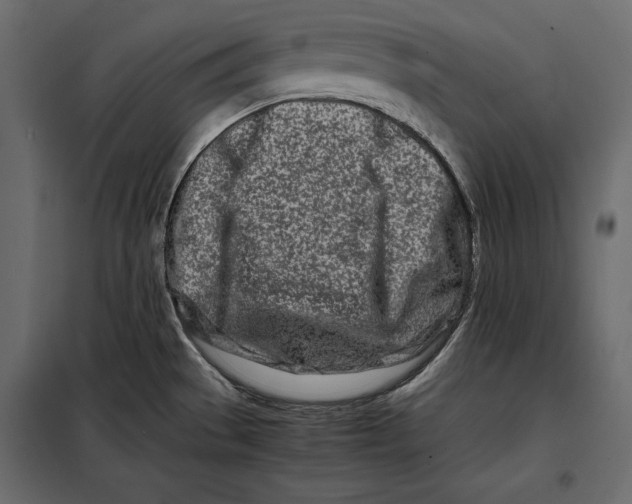 X0000098081529200804251502