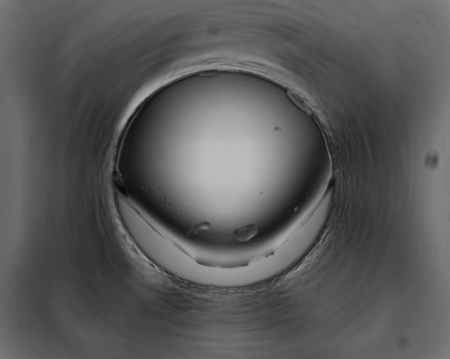 X0000098081530200804251502