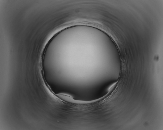 X0000098081531200804251502