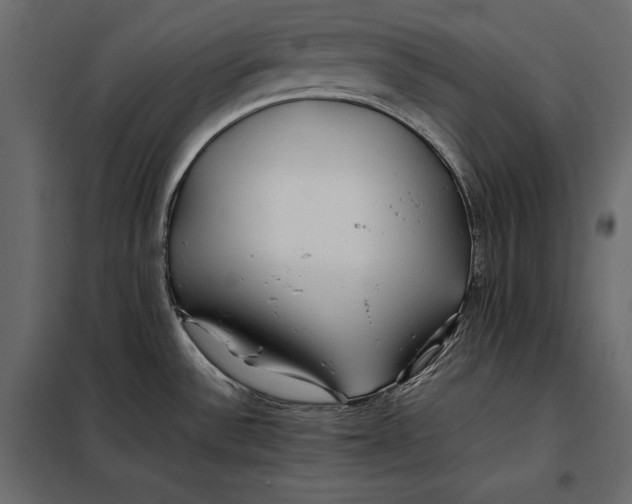 X0000098081532200804251502