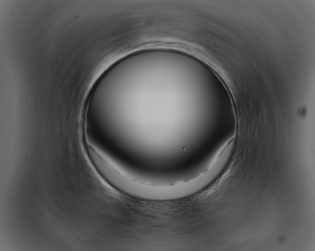 X0000098081533200804251502