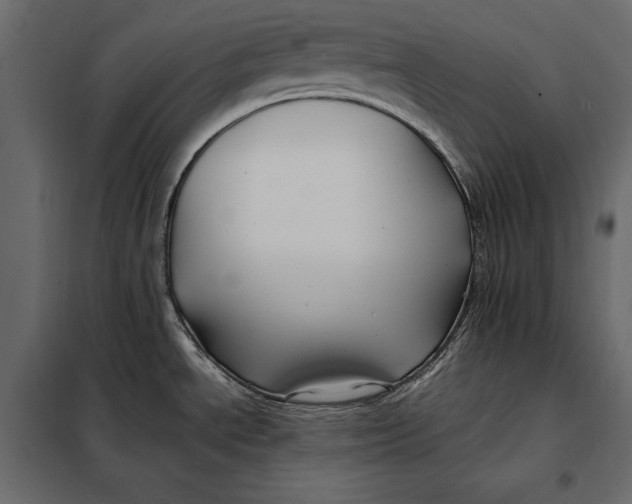 X0000098081534200804251502