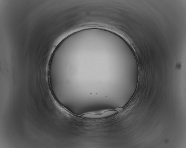 X0000098081535200804251502