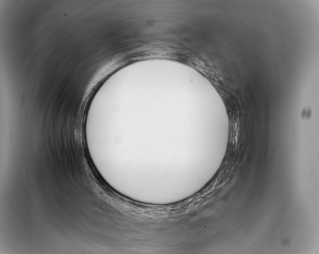 X0000098080004200805021033