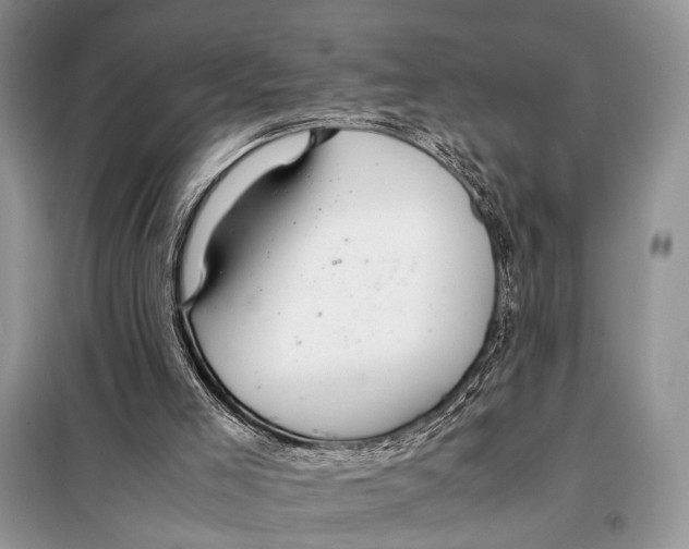 X0000098080005200805021033