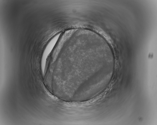 X0000098080009200805021033