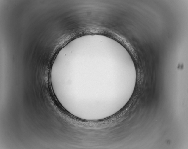 X0000098080010200805021033