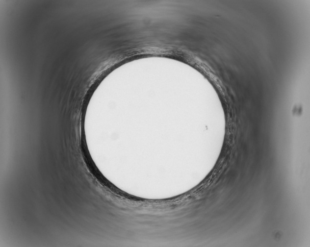 X0000098080011200805021033