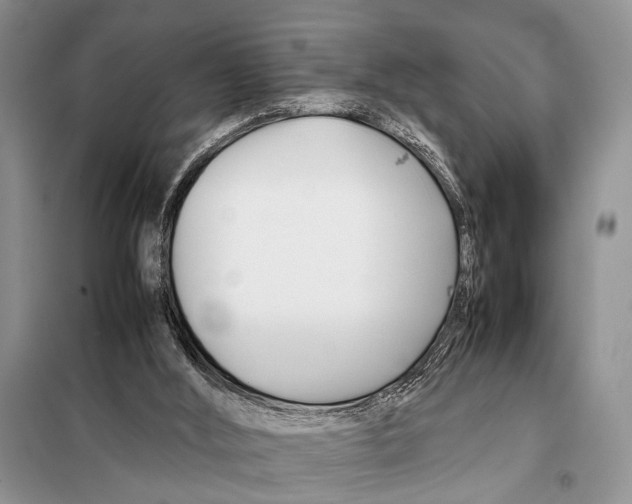 X0000098080012200805021033