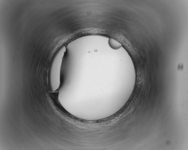 X0000098080014200805021033