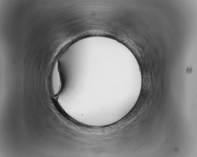 X0000098080015200805021033