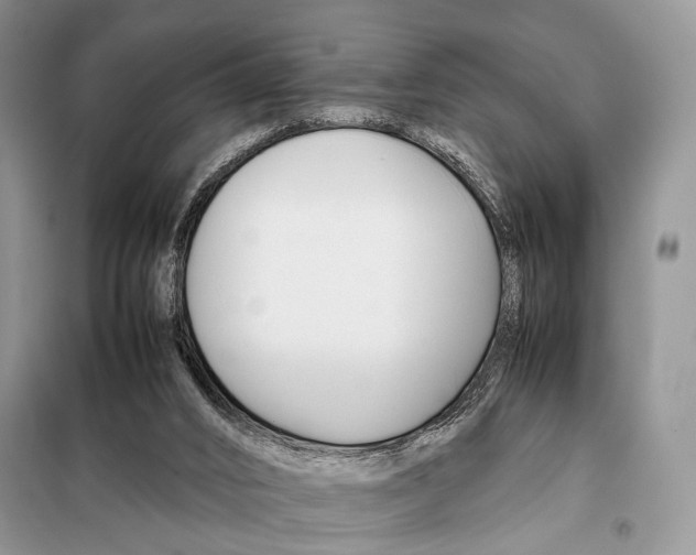 X0000098080016200805021033