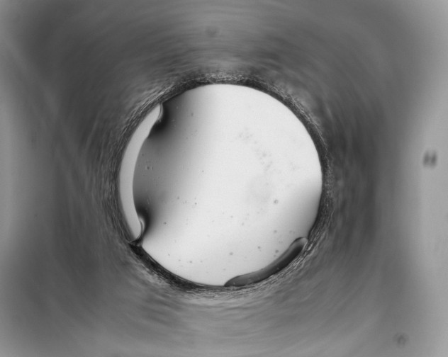 X0000098080017200805021033