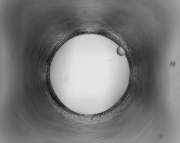 X0000098080018200805021033