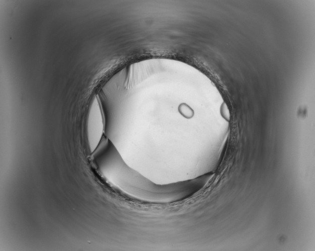 X0000098080019200805021033