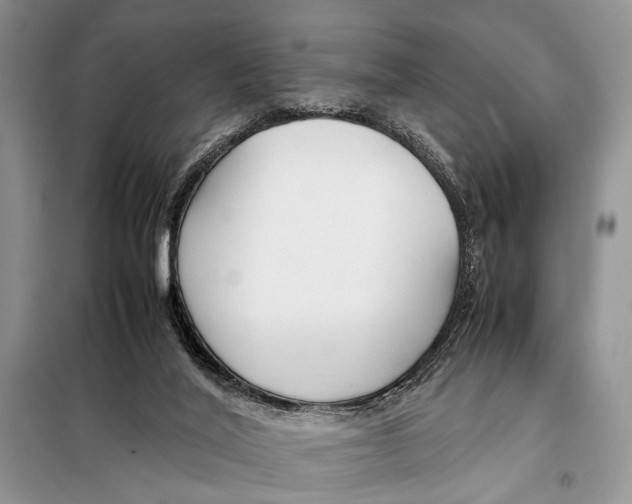 X0000098080020200805021033