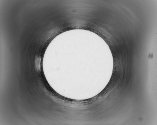X0000098080024200805021033