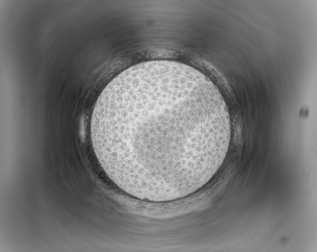 X0000098080026200805021033