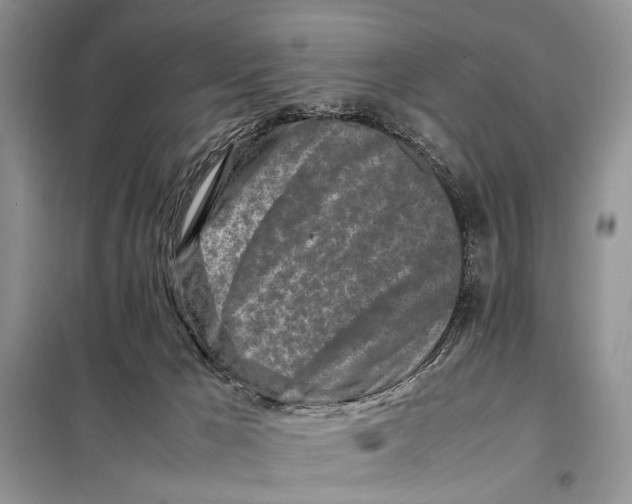 X0000098080029200805021032