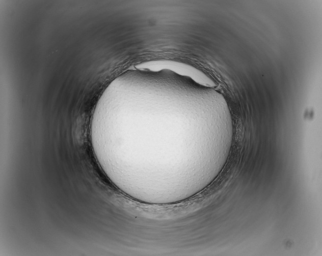X0000098080030200805021032