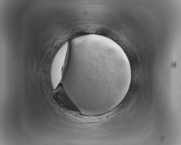 X0000098080031200805021032