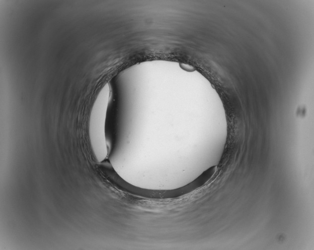 X0000098080033200805021032