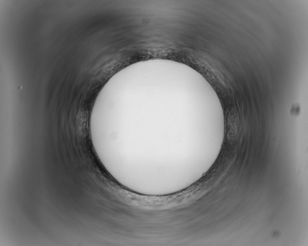 X0000098080034200805021032