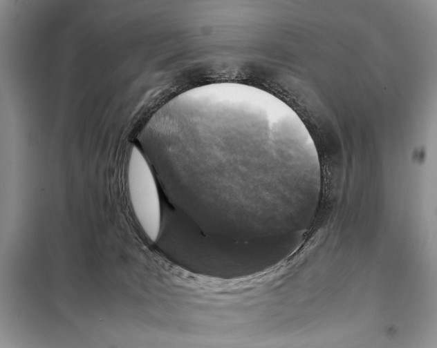 X0000098080035200805021032