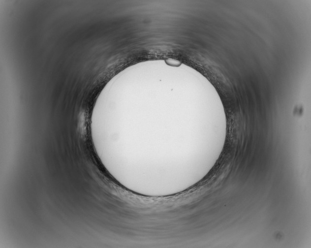 X0000098080038200805021032