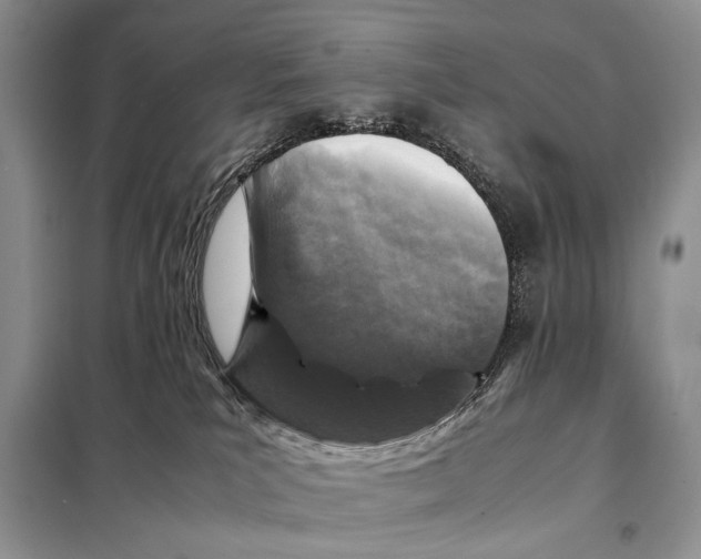 X0000098080039200805021032