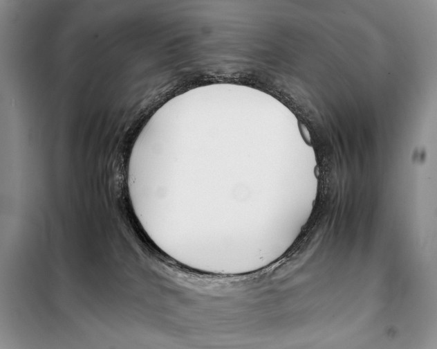 X0000098080040200805021032
